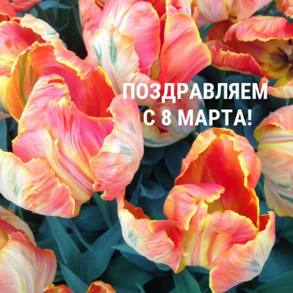 Поздравление с 8 Марта Поздравление с 8 Марта