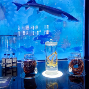 Студенты ВПК на открытии филиала Национального центра «Россия»