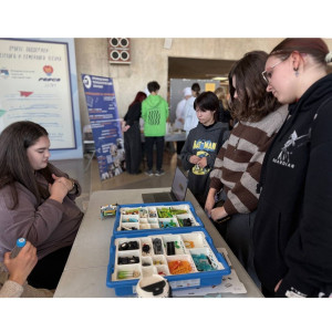 Какой секрет хранят педагоги Владивостока?