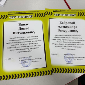 Финал кластерных тренировок по компетенции "Преподавание труда и технологии"