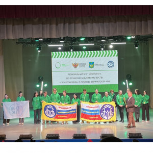 Итоги Регионального этапа III чемпионата "Профессионалы"
