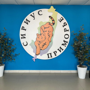 А.Г. Наврось выступила экспертом в Региональном этапе Российской психолого-педагогической олимпиады школьников