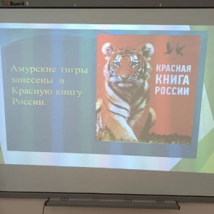 День тигра на практикуме