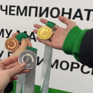 Триумф педагогического таланта: итоги Регионального Чемпионата "Профессионалы-2026"